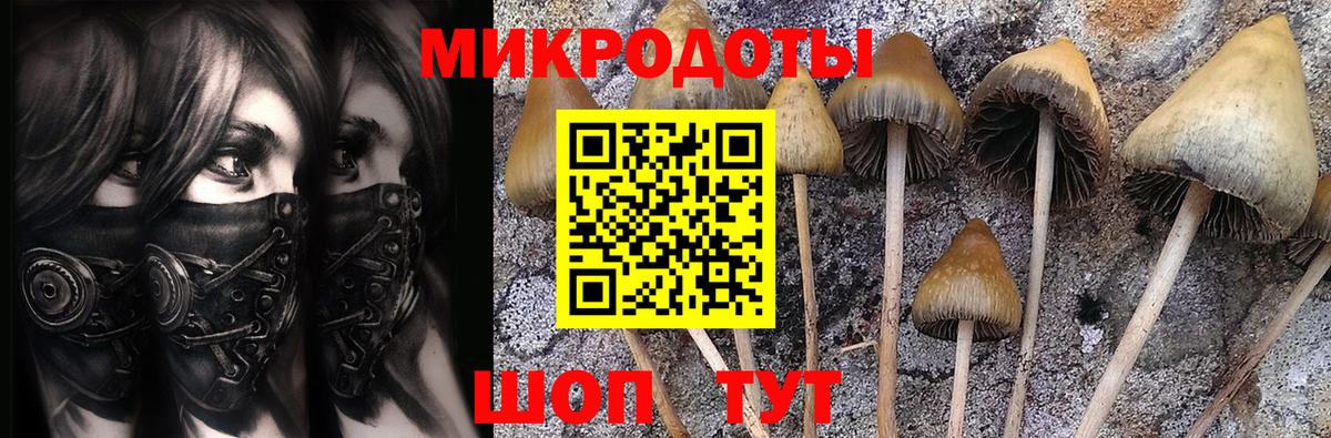 Псилоцибиновые грибы Cubensis Великий Устюг